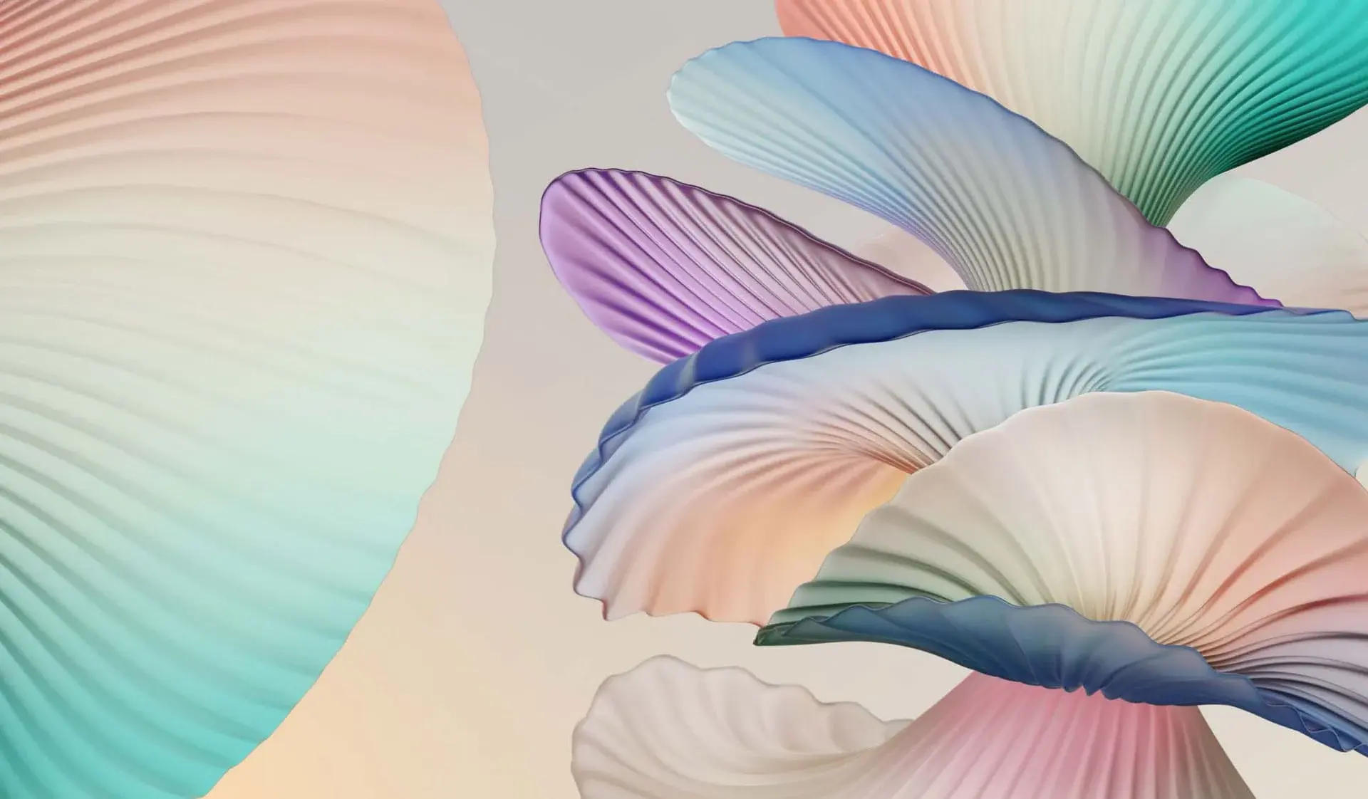 Header Background